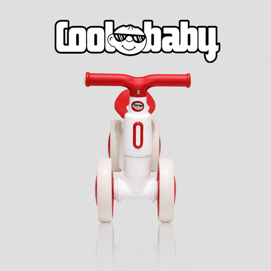 2010 Rider Coolbay bicycle with sleek frame and colorful design, displayed on a white background.
